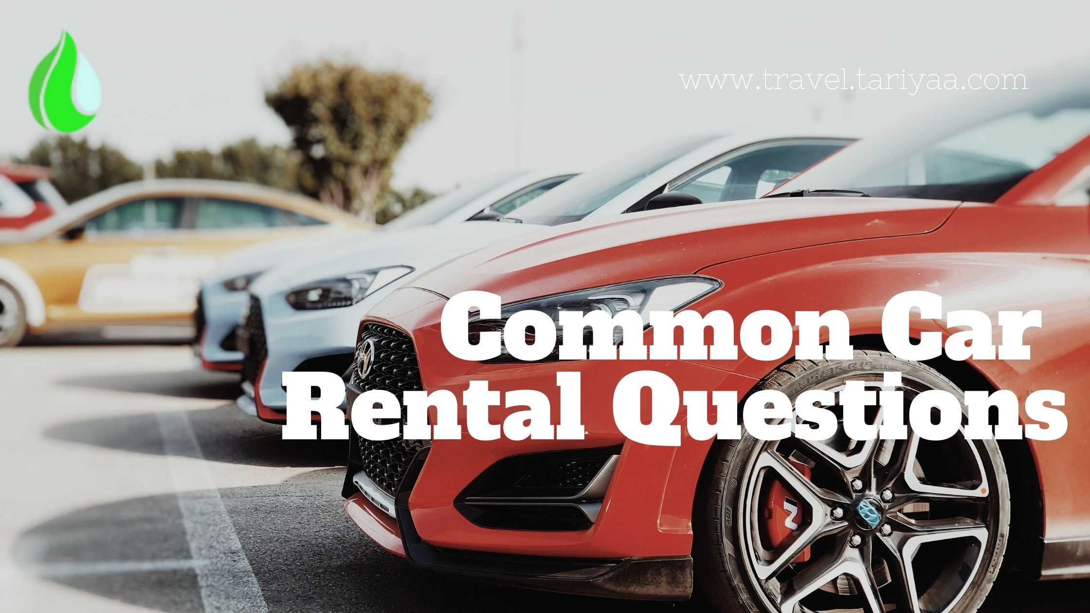 Common Car Rental Questions